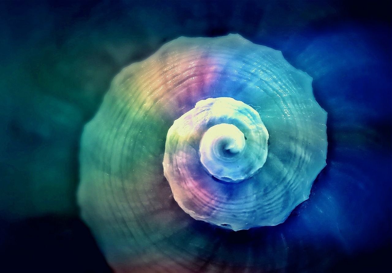 最强蜗牛幻境装备，探索未知，征战星辰大海！